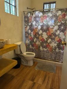 a bathroom with a toilet and a shower curtain at Cabañitas y Dorms in Bacalar +29 photos