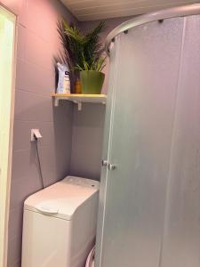 a bathroom with a toilet and a plant on a shelf at Nice apartment close to the beach in Tallinn +13 photos