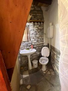 a stone bathroom with a toilet and a sink at Residence "Ana Pletvarska" in Prilep