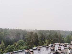 a group of houses in the middle of a forest at Sunset Bird Watcher Apartament in Visaginas