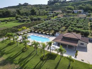 an aerial view of a villa with a swimming pool and palm trees at Borgo San Cosmo Tropea in Brattirò