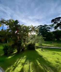 a green lawn with palm trees in a park at Refúgio na natureza com piscina e churrasqueira in Pedro de Toledo
