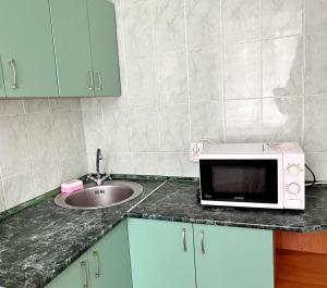 a kitchen with a sink and a microwave on a counter at Центр, 2х комнатная студио возле парка, WIFI in Vinnytsya +1 photo