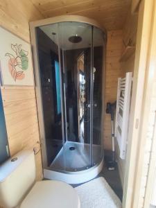 a bathroom with a shower and a toilet in a room at chalet bohème au calme in Saint-Ambreuil