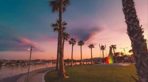 a group of palm trees in a park with a rainbow at Il Mirto apartment con piscina in Olbia
