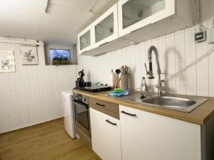 a kitchen with a sink and a counter top at Souterrain Apartment mit eigenem Eingang und Terasse in Sarstedt +19 photos