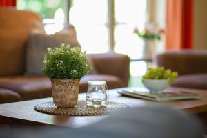 a table with a plant and a glass on it at Ferienhaus 4 in Fehmarn
