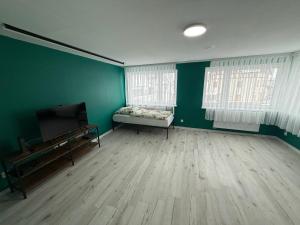 a room with green walls and a bed and a television at Schelder Zimmer in Dillenburg