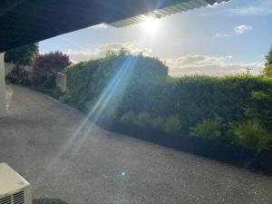 a beam of sunlight shining on a garden with plants at Property close to the beach in Nelson
