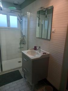 a bathroom with a sink and a mirror and a shower at Gîte de la belle attente in Marques +18 photos