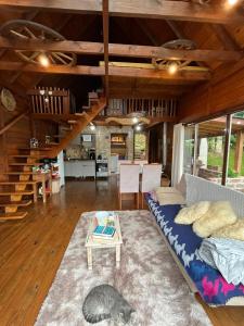 a living room with a couch and a cat laying on the floor at Cabana Gehrke in Nova Petrópolis