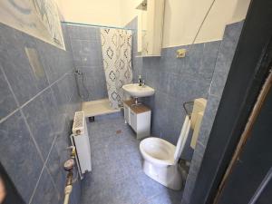 a bathroom with a toilet and a sink at Matei Apartament in Tîrnăveni