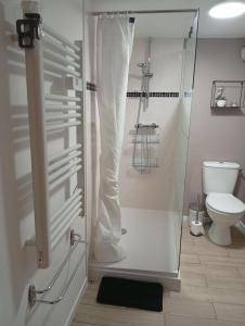 a shower with a glass door in a bathroom at L'harmonie des Oiseaux in Meyronne