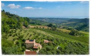 a house in the middle of a green field at La Fonte e l Ulivo in Ripatransone