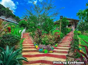 a stairway in a garden with colorful flowers and plants at Manga's swimming pool in El Nido Airport +23 photos