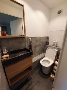 a bathroom with a toilet and a mirror at Chambre privée avec Jardin in Les Ulis +24 photos