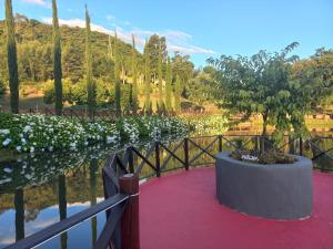 a park with a red carpet and trees and water at Palast Haus Hotel Boutique in Gramado