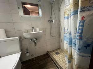 a bathroom with a toilet and a sink and a shower at Mariazellerhof Room 014 in Sankt Pölten