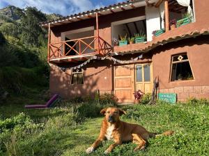 a dog laying in the grass in front of a house at Cosy Private Room In A Community Home - A Space To Remember You In Andean Mountains in Pisac
