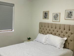 a bedroom with a bed with a tufted headboard at Casa 11 Centrica 3 camas queen in Hermosillo +7 photos