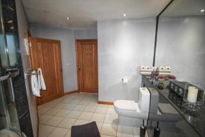 a bathroom with a toilet and a glass counter at Corncrake Cottage in Leverburgh +47 photos