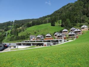 a group of houses on a hill with a green field at Smaragdresort Gipfelstürmer in Brandberg