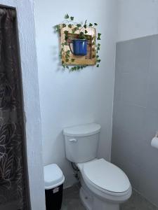 ein Badezimmer mit Toilette und einem Spiegel an der Wand in der Unterkunft Mi Refugio Dive House in Cozumel + 33 Fotos