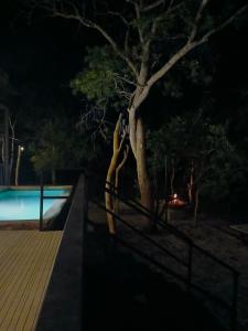 a person taking a picture of a pool at night at Wildcat hostel Yala in Kataragama