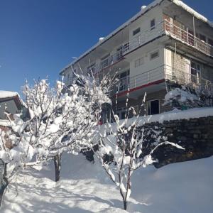 a building covered in snow with trees in the foreground at Apple Garden Aleo in Manāli +23 photos