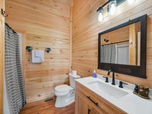 a bathroom with a toilet and a sink and a mirror at The Three Dog Night Cabin in Bryson City +31 photos