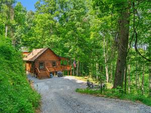 a log cabin in the middle of a forest at The Three Dog Night Cabin in Bryson City