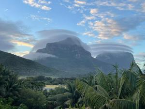 a view of a mountain with clouds and palm trees at Waimarie Apartments in Lord Howe +3 photos