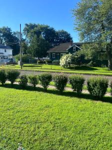 a row of bushes in front of a house at Eden's Cozy Oasis in Windsor
