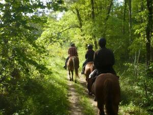a group of people riding horses down a trail at Chalet Confortable avec Terrasse - 5 pers - API-1-52-1957 in Pamiers
