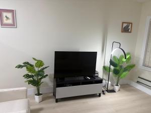 a living room with a flat screen tv on a stand with plants at Cozy Home in Surrey