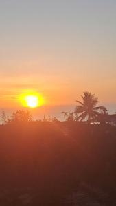 a sunset with a palm tree and the ocean at Hotel Hải Âu in Kỳ Trân (1)
