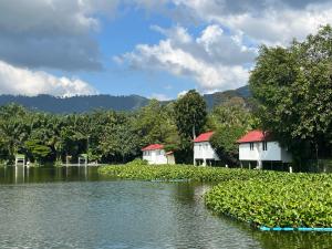a group of houses on a river with trees at TopCats Fishing Resort in Taling Ngam Beach