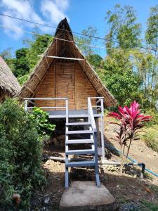 a thatch hut with a ladder in front of it at Bon Joy's Transient House in Mabini