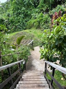 a wooden path leading up to a hill with plants at Matira Hills Apartment in Bora Bora +2 photos