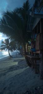 a person sitting on a bench on the beach at DO NOT USE this in Apia