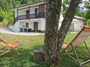 a tree with a house in the background at Apartma Mia Nadiža in Kobarid