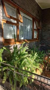 a garden with plants in front of a building at 'The Cape Robin' studio apartment in Hoheizen