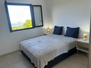 a bedroom with a bed with blue pillows and a window at Villa chandelle in Saint-Pierre +6 photos
