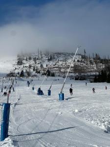 a group of people skiing down a snow covered slope at Ferienwohnung Weitsicht in Hüttenrode
