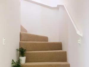 a staircase with two potted plants next to it at 3 Old Posting Stables in Gatehouse of Fleet +7 photos