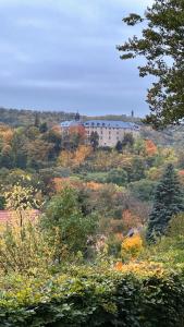 a large building on top of a hill with trees at Ferienwohnung Weitsicht in Hüttenrode