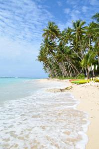 a beach with palm trees and the ocean at Vacala Bay Resort in Matei