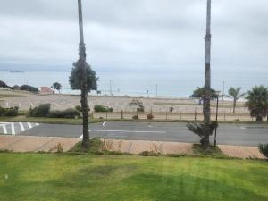 an empty street with two palm trees and a road at 13 at Santos in Mossel Bay