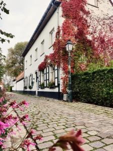 a cobblestone street in front of a white building at B&B Lisdodde in Lissewege