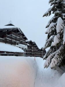 a pile of snow in front of a building at Appartement PRAZ DE LYS TMB in Taninges